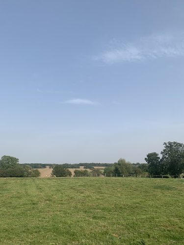The Oak Leaf Dog Park — secure dog field in Leicester