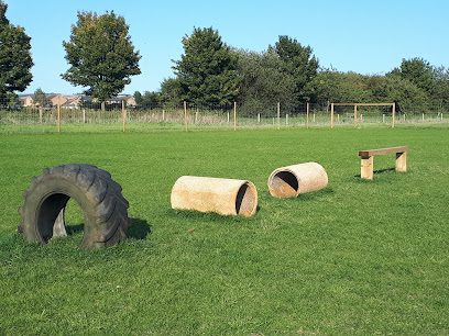 Barmby Fields - Dog Walking Field — secure dog field in York