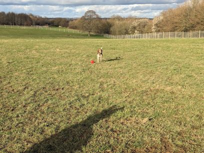 Freedom for Dogs — secure dog field in Hassocks