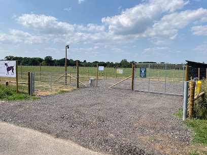 The Dog Walking Field - Colchester — secure dog field in Colchester