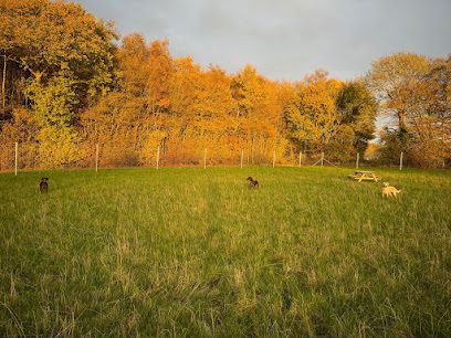 Gogway Dog Field — secure dog field in Waddenhall