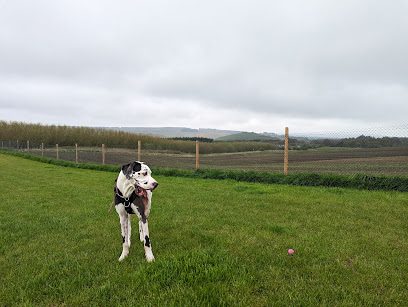Run Free Dog Fields - Kingseat — secure dog field in Dunfermline