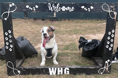 Winterton Hound Ground — secure dog field in Great Yarmouth