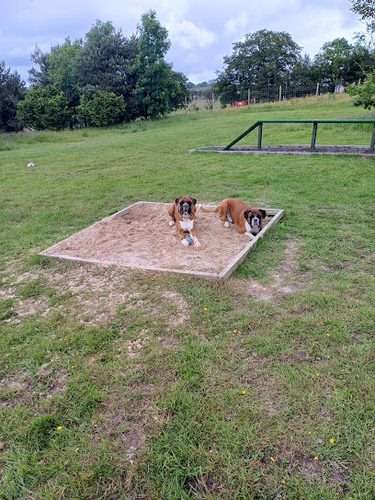 Greenhill secure dog field and agility course — secure dog field in Motherwell