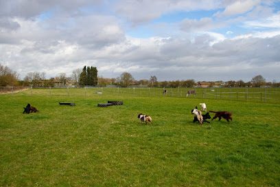 Jacks Place — secure dog field in Doncaster