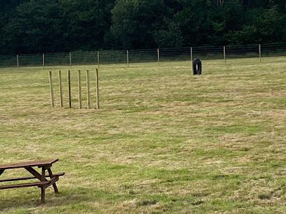 The Dog Walking Field - Crowborough — secure dog field in Crowborough