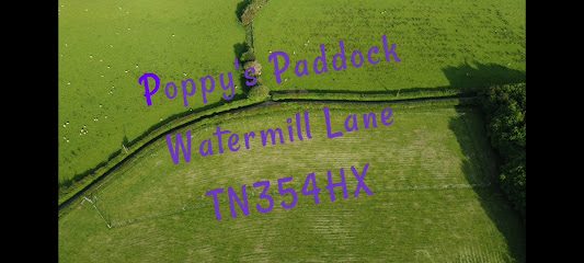 Poppys Paddock dog walking field — secure dog field in Hastings