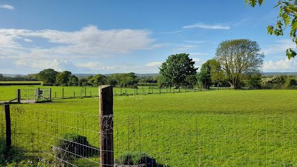 Cleeve Secure Dog Paddock — secure dog field in Bristol