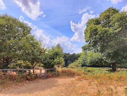 Corrett’s Copse — secure dog field in London