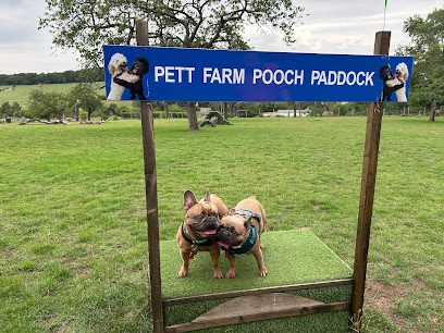 Pett Farm Pooch Paddock — secure dog field in Sittingbourne