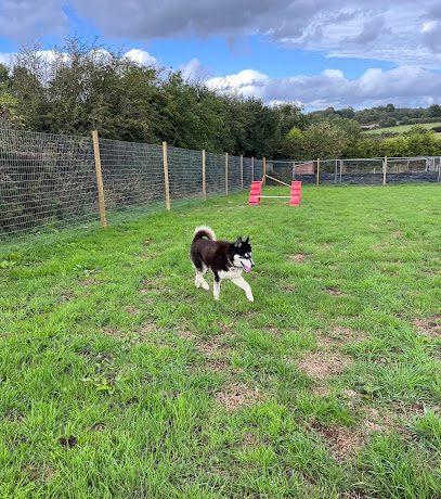 Conisbrough dog walking field — secure dog field in Doncaster