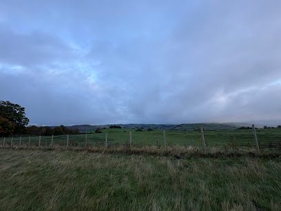 Penoffa Paw Paddock Dog Field — secure dog field in Presteigne