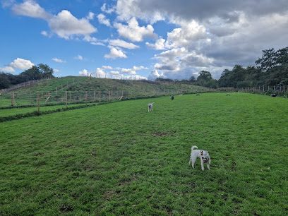 Oscars Doggy Stay N Play — secure dog field in Halesowen