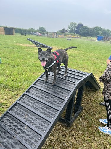 Holt Dog Park — secure dog field in Trowbridge