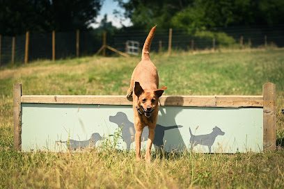 Surrey Hills Dog Park — secure dog field in Guildford