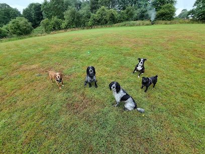 Furry Tails kennel & Cattery — secure dog field in Penrith