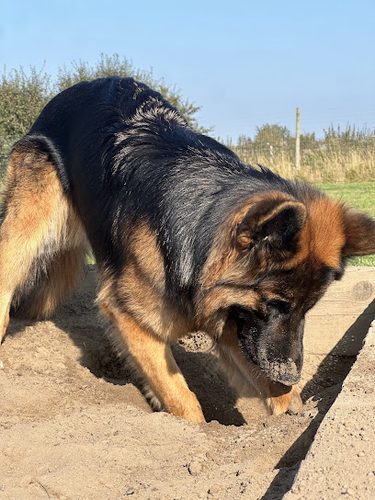 Happy Meadows Dog Parks — secure dog field in Wakefield