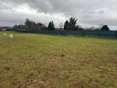Run Free Dog Fields - Perth — secure dog field in Old Scone