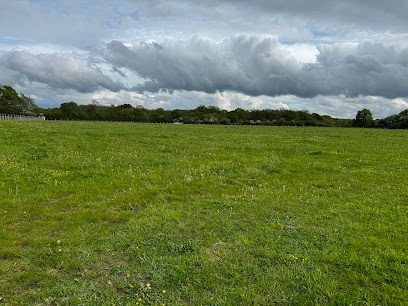 Houndin' Around Paw Park — secure dog field in Bromley