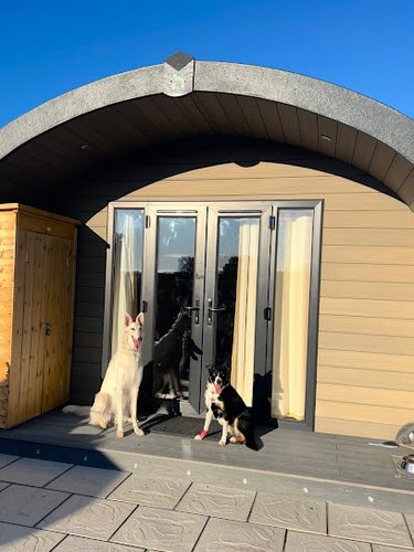 My Happy Hounds — secure dog field in Northallerton