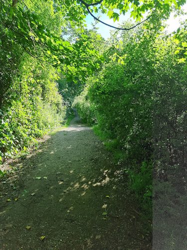 Dog Kennel Hill Open Space — secure dog field in London