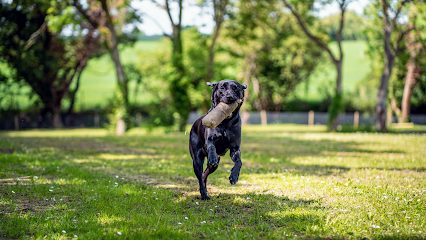 Hanchett Meadow Secure Dog Field — secure dog field in Haverhill