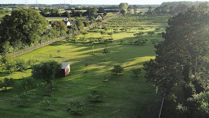 The Dog Orchard — secure dog field in Woodbridge