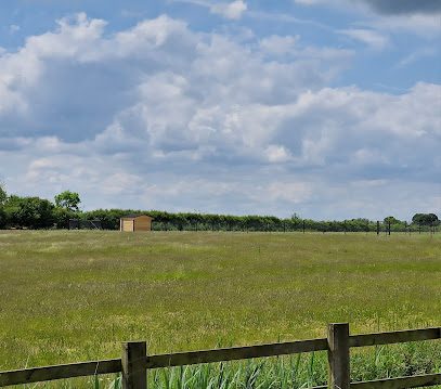 Wendlebury Walkies — secure dog field in Bicester