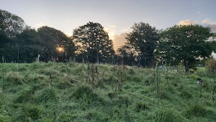 Zoomies Zone Anglesey — secure dog field in Llanfairpwllgwyngyll