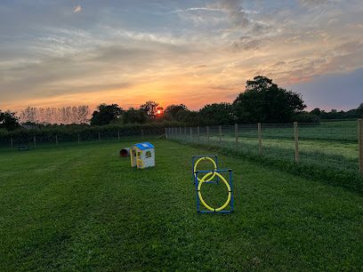 Mobberley Dog Park — secure dog field in Mobberley