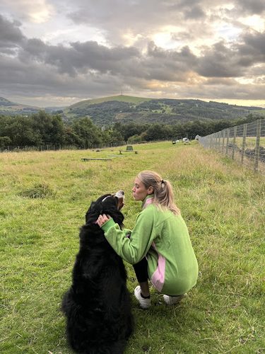 DoGcross Dog Field — secure dog field in Oldham