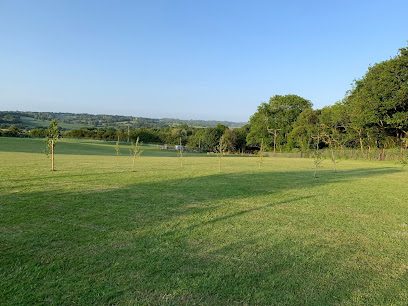 TJ's Green Field — secure dog field in Hastings