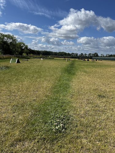 Kenny Hill Dog Adventure Park — secure dog field in Bury Saint Edmunds