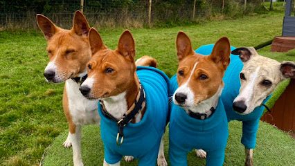 Let’s Walk Private & Secure Dog Field — secure dog field in Motherwell