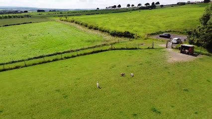 Run Free Dog Fields - Carluke — secure dog field in Carluke