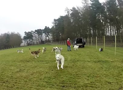 Paw Park Sand Hutton — secure dog field in York