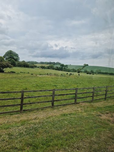Lilley Dog Walking Field — secure dog field in Luton