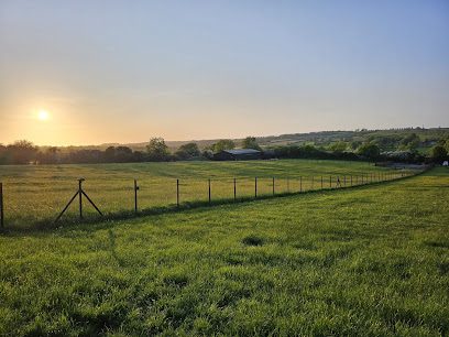 Corner Meadow Dog Paddock — secure dog field in Oakham