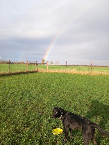 Poundon Pastures — secure dog field in Bicester