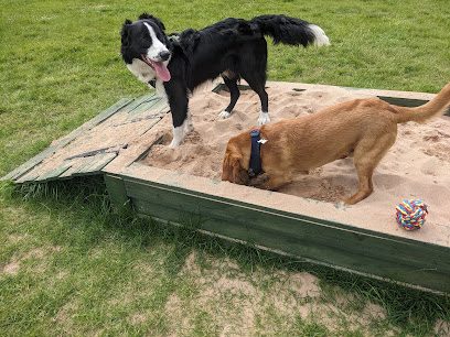 Drysgoed Farm Secure Dog Exercising Facility — secure dog field in Pontypridd