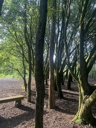 Willow Wood Dog Field — secure dog field in Preston