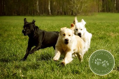 Hampton Lovett Secure Dog Field — secure dog field in Droitwich