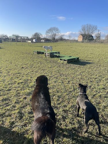 Off the Lead; Landbeach — secure dog field in Cambridge