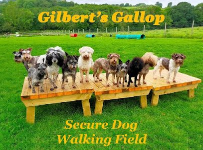 Gilbert's Gallop Secure Dog Walking Field — secure dog field in Loughborough