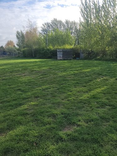 Windy Tails Dog Paddock — secure dog field in Sittingbourne