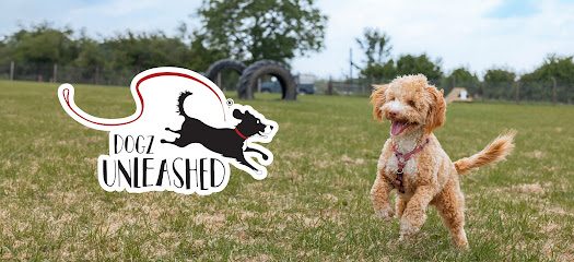 Dogz Unleashed — secure dog field in Bridgend