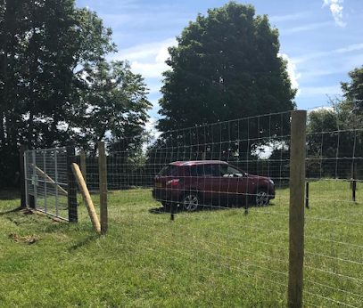 Hinton-in-the-Hedges Secure Dog Walking Field — secure dog field in Brackley
