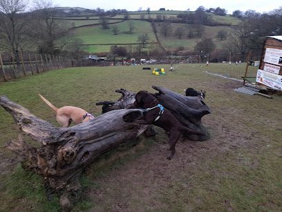 Wye Valley K9 Free Run Enclosure & Agility Centre — secure dog field in Builth Wells