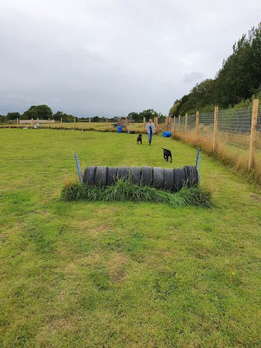 Northumberland Canine Centre; — secure dog field in Morpeth