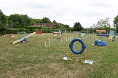 Frittenden Dog Agility — secure dog field in Cranbrook
